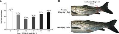 Mannan Oligosaccharides Application: Multipath Restriction From Aeromonas hydrophila Infection in the Skin Barrier of Grass Carp (Ctenopharyngodon idella)